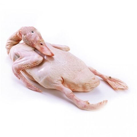 Vịt thịt rồi