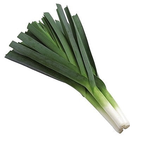 Hành Baro