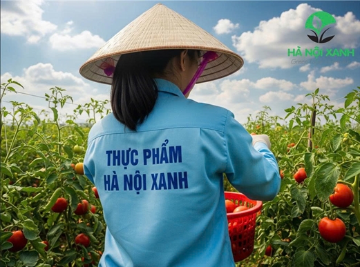 ĂN SẠCH VÀ XANH